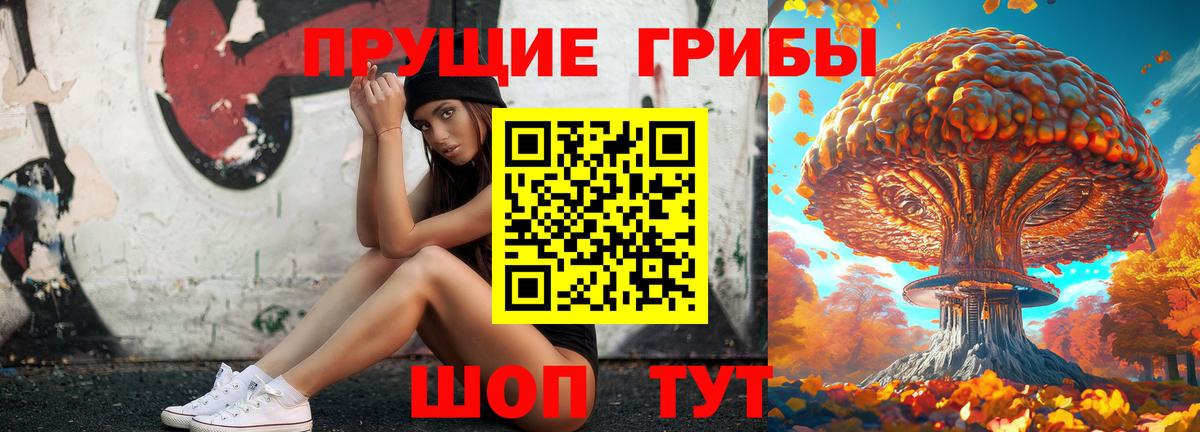 Ирбит  Псилоцибиновые грибы Cubensis  Вход с VPN 